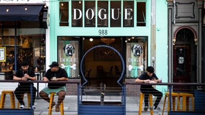 Tasting Menu For Dogs At R1,300 a Meal