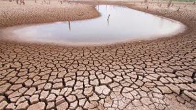 Namibia To Kill 700 Animals To Feed People