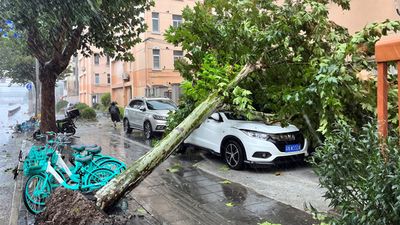 China Warned About Strong Winds