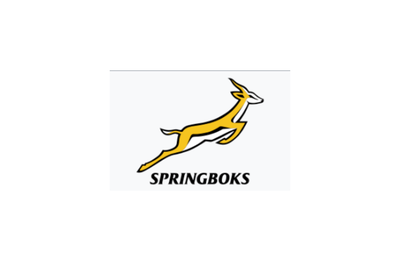 Springbok squad update
