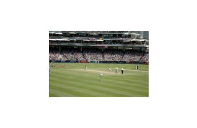 Cricket test!