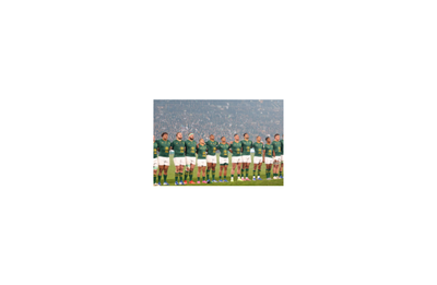 Springboks nations cup update