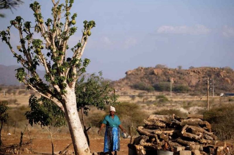 Video: Land Expropriation Takes More Than Just Land And Could Leave Banks Empty 1