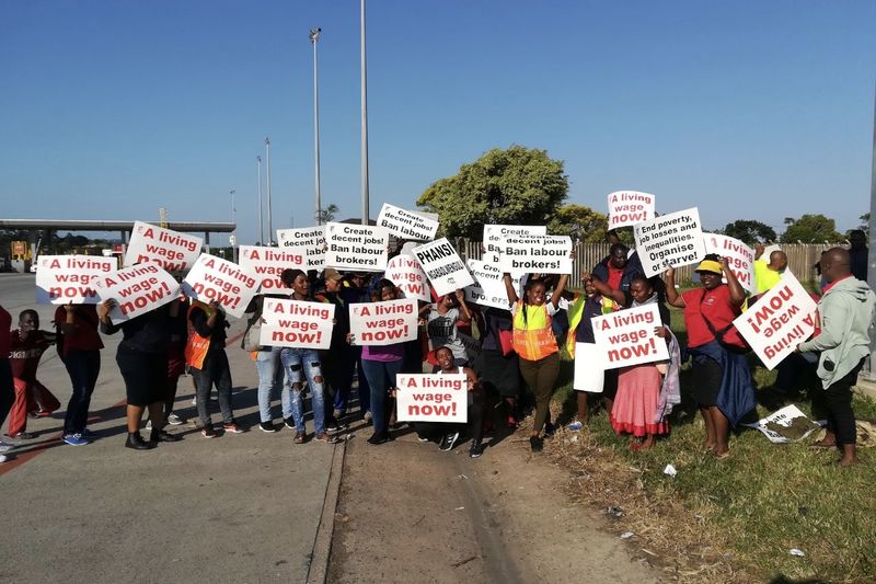 Video: South African Transport System Grinds To A Halt As Bus Drivers Strike For Better Wages 1