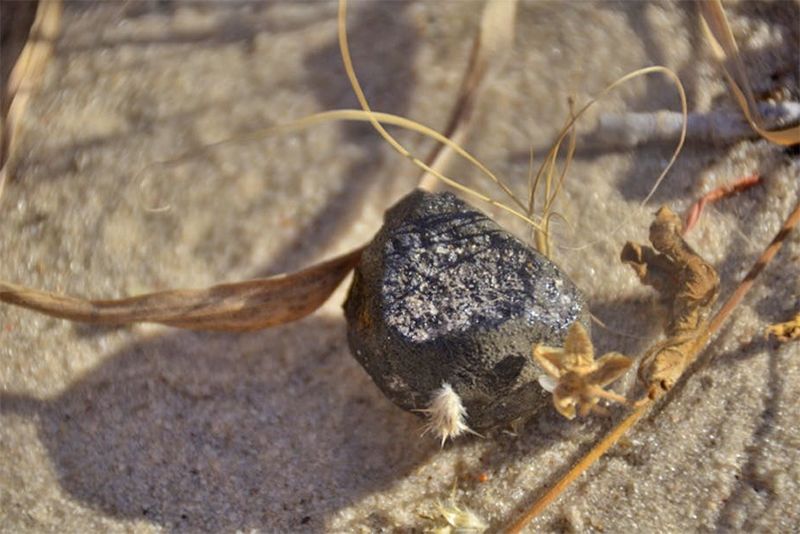 The Botswana Meteorite Was Spotted Hours Before Entering The Atmosphere And Has Now Been Found 1