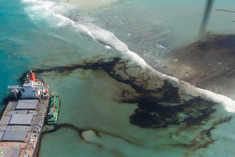 Mauritius Sea Life Suffers After Japanese Bulk Carrier Oil Spill 1