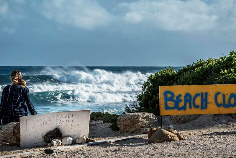 Australian Surfer Compares Shark Attack To Being Hit By A Bus 1