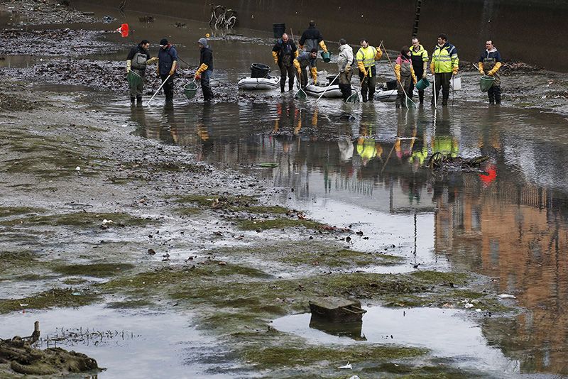Cleaning Up This Parisian Canal Led To Very Interesting And Disappointing Discoveries 1