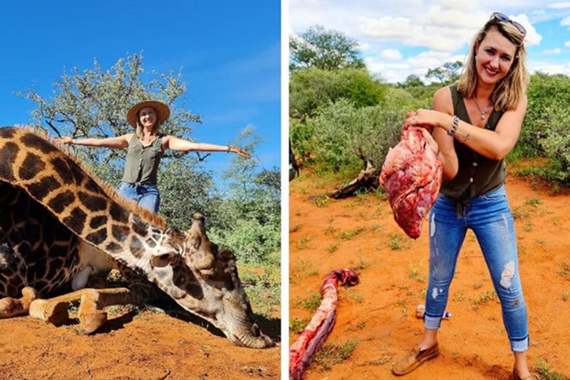 Woman Who Posed With A Giraffe’s Heart Now Faces Backlash 1