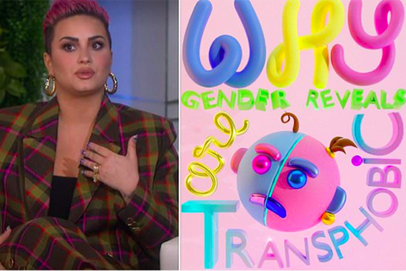Demi Lovato Is Against 'Transphobic' Gender Reveal Parties 1