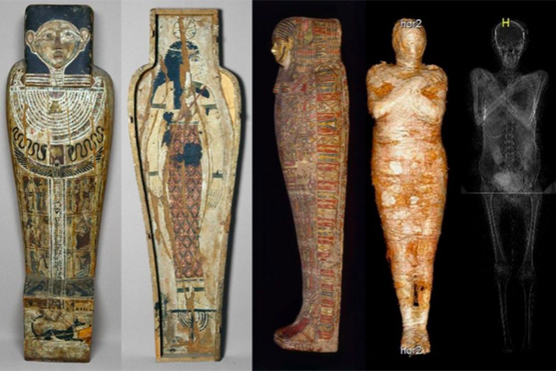 Egyptian Mummy Re-Identified As Pregnant By Mummy Project Scientists 1