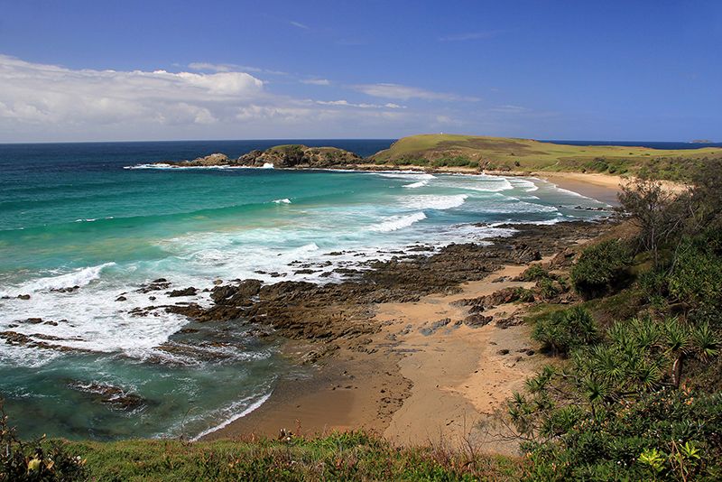 Naked Sunbathers Startled By Deer, Fined For Breaking Sydney Lockdown Rules 1