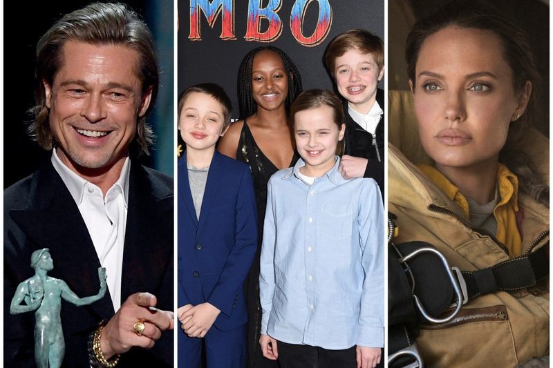 Brad Pitt Sues Angeline Jolie Over Selling Of Vineyard Stake 1