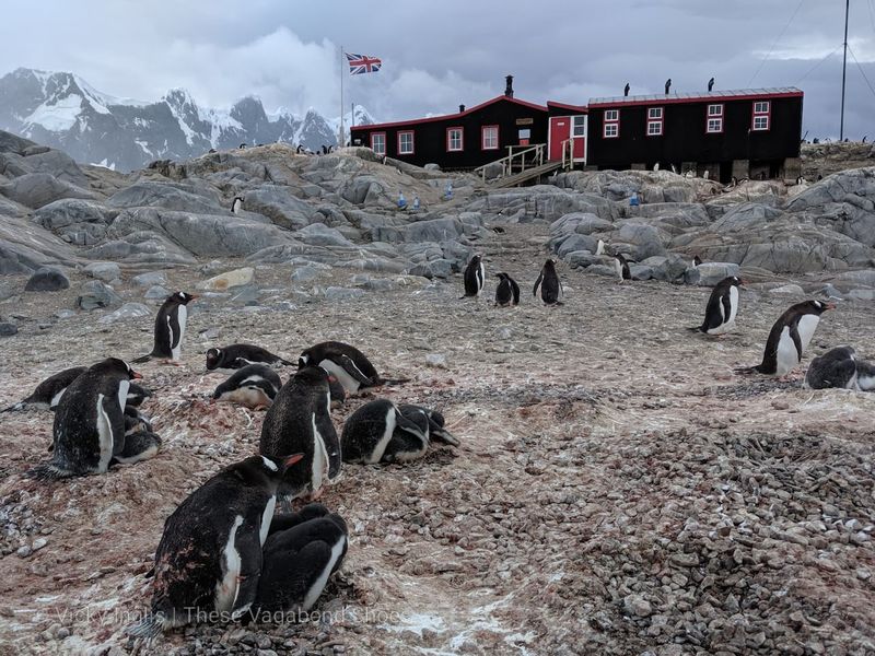 Vacancies Advertised At Antarctica’s Post Office 1