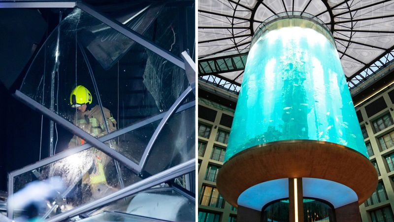 Hotel Aquarium In Berlin Explodes 1