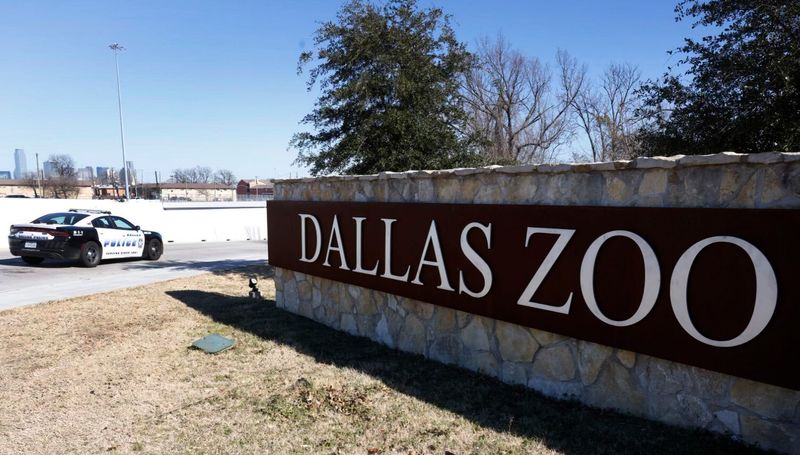 Tamarin Monkeys Missing From Dallas Zoo 1
