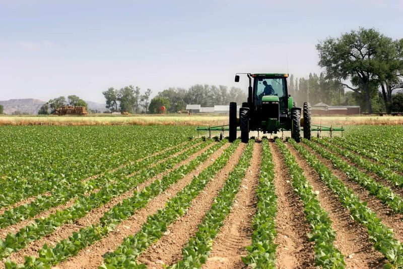 Agri SA Asks Ramaphosa To Declare Agri Sector An Essential Service 1
