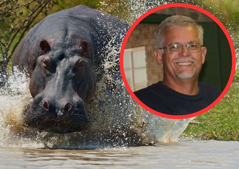 Man Killed By Hippo In Kruger National Park 1