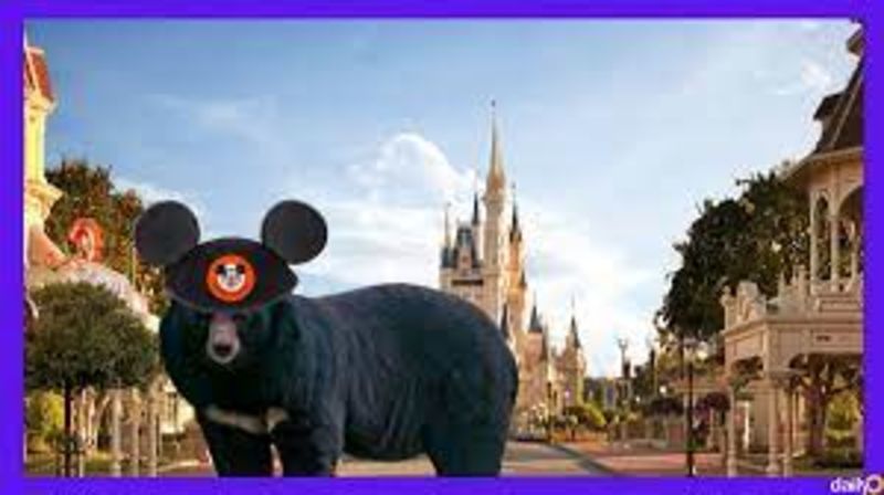 Disney World Closed Because Of Bear 1