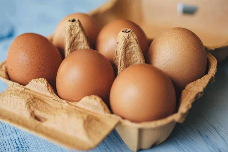 Egg Stocks Rising Again 1