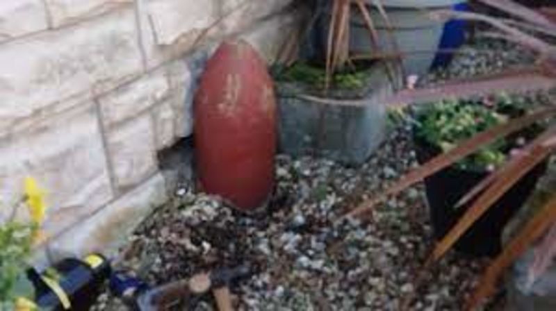 Garden Ornament Turns Out To Be Unexploded Bomb 1