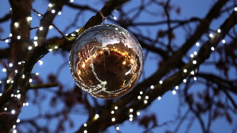 Christmas Tree Falls On Belgian Woman And Kills Her 1