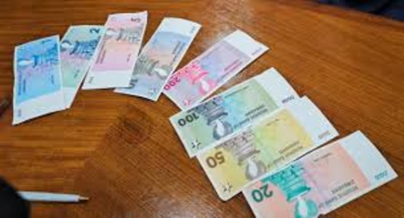 Zimbabwe Reveals New Currency 1