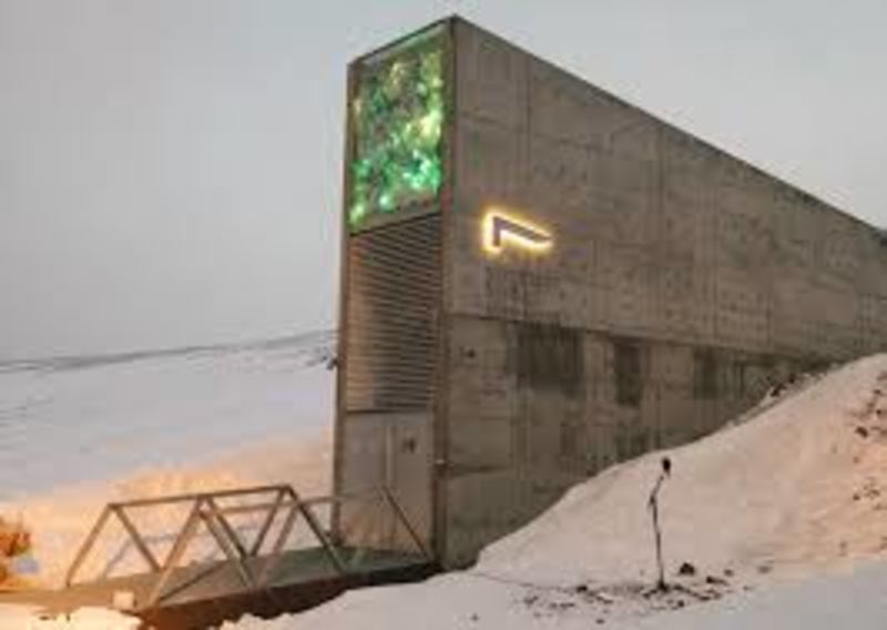 Doomsday Vault Gets 14,000 New Samples 1