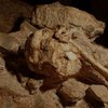 Video: Introducing 'little Foot' – Humans 3.67 Million Year Old Ancestor 2