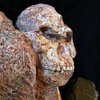 Video: Introducing 'little Foot' – Humans 3.67 Million Year Old Ancestor 4