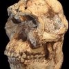 Video: Introducing 'little Foot' – Humans 3.67 Million Year Old Ancestor 5