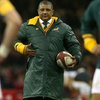Springbok Coach Allister Coetzee Sacked