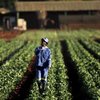 Video: Land Expropriation Takes More Than Just Land And Could Leave Banks Empty 3
