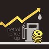 Sa Government Has 'no Plan' For Petrol Price Increase