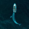 Drone Photo Winners Of 2020 Announced