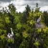 Drone Photo Winners Of 2020 Announced