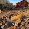 WWII 2,000lb device detonated in the middle of British City Exeter