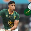 Springboks Thrash Japan