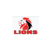 Lions rugby!