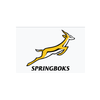 Springbok squad update