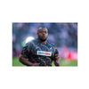 Bok prop ban.