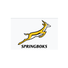 Springboks update in lead up to nations cup!