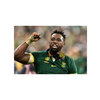 Siya Kolisi