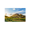 Wine region South Africa!