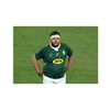 Bok on the come back trail!