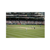 Cricket test!