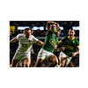Boks vs Eng Ellis park!